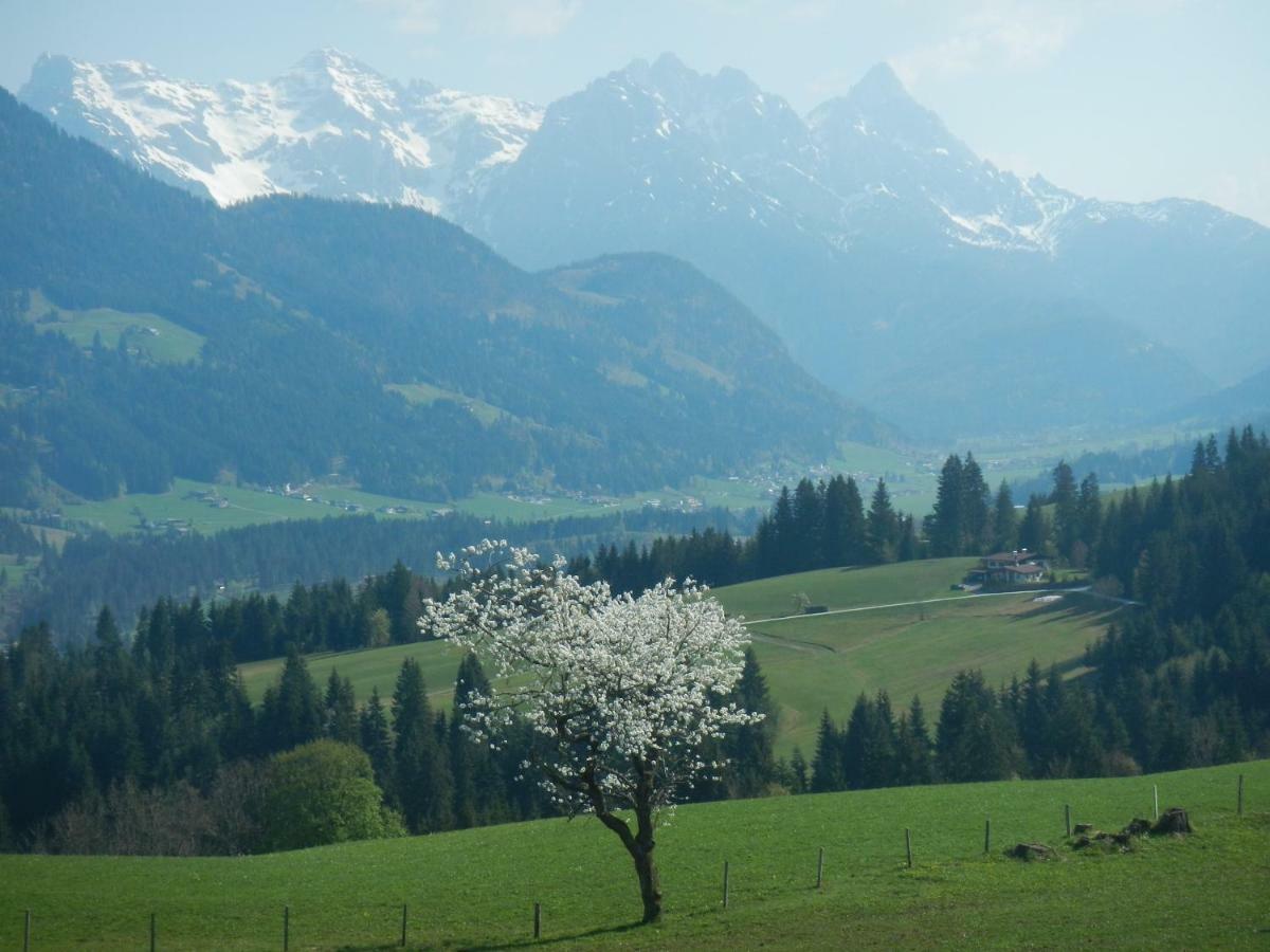 Ferienwohnung Baerfeld Fieberbrunn Luaran gambar